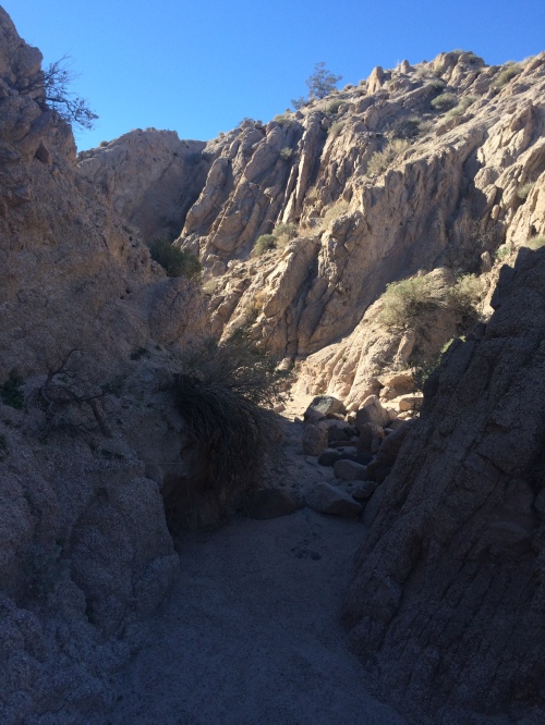 Tight gullies near the head of Through Canyon