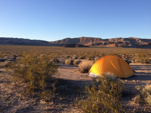 Campsite on the playa